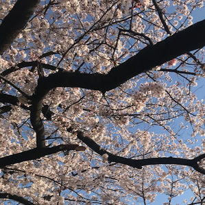 Meet your Posher, Candi